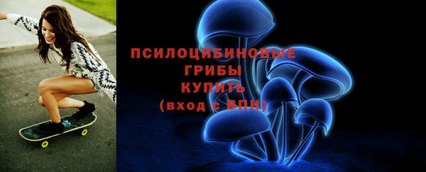 бошки Абаза