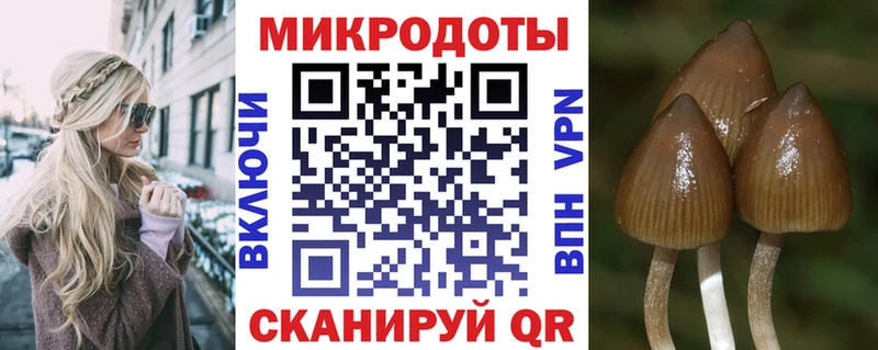 blacksprut зеркало  закладка  Вытегра  Галлюциногенные грибы ЛСД 