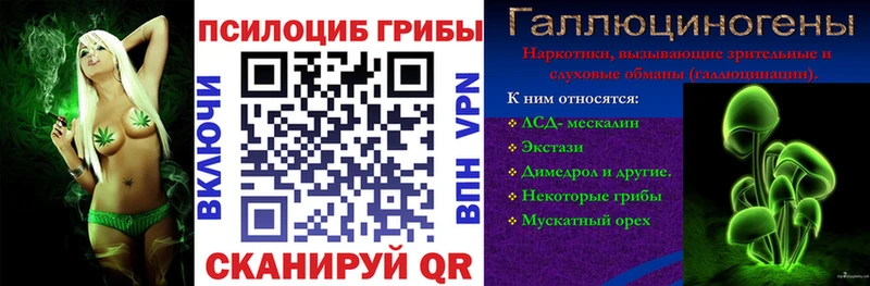 Псилоцибиновые грибы Cubensis Вытегра