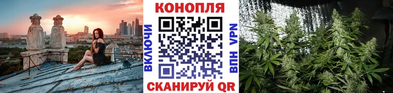 Канабис гибрид Вытегра